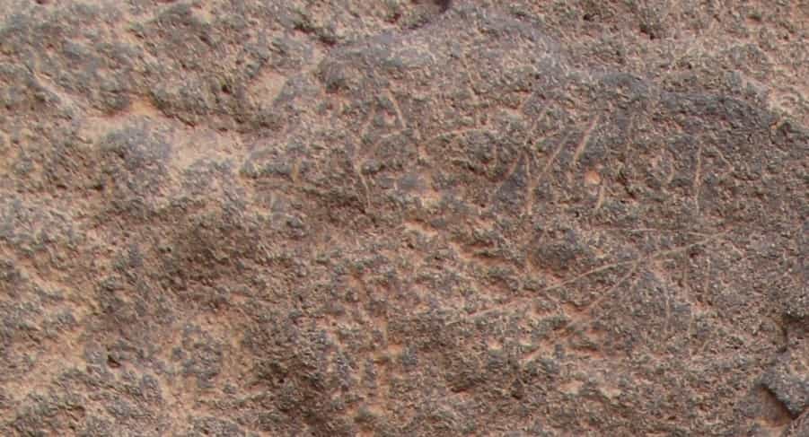 الشرعي جبل العرق 112